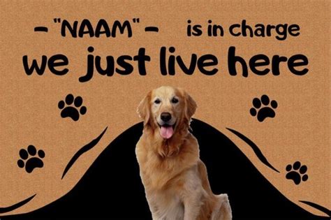 my_desigirl only fans